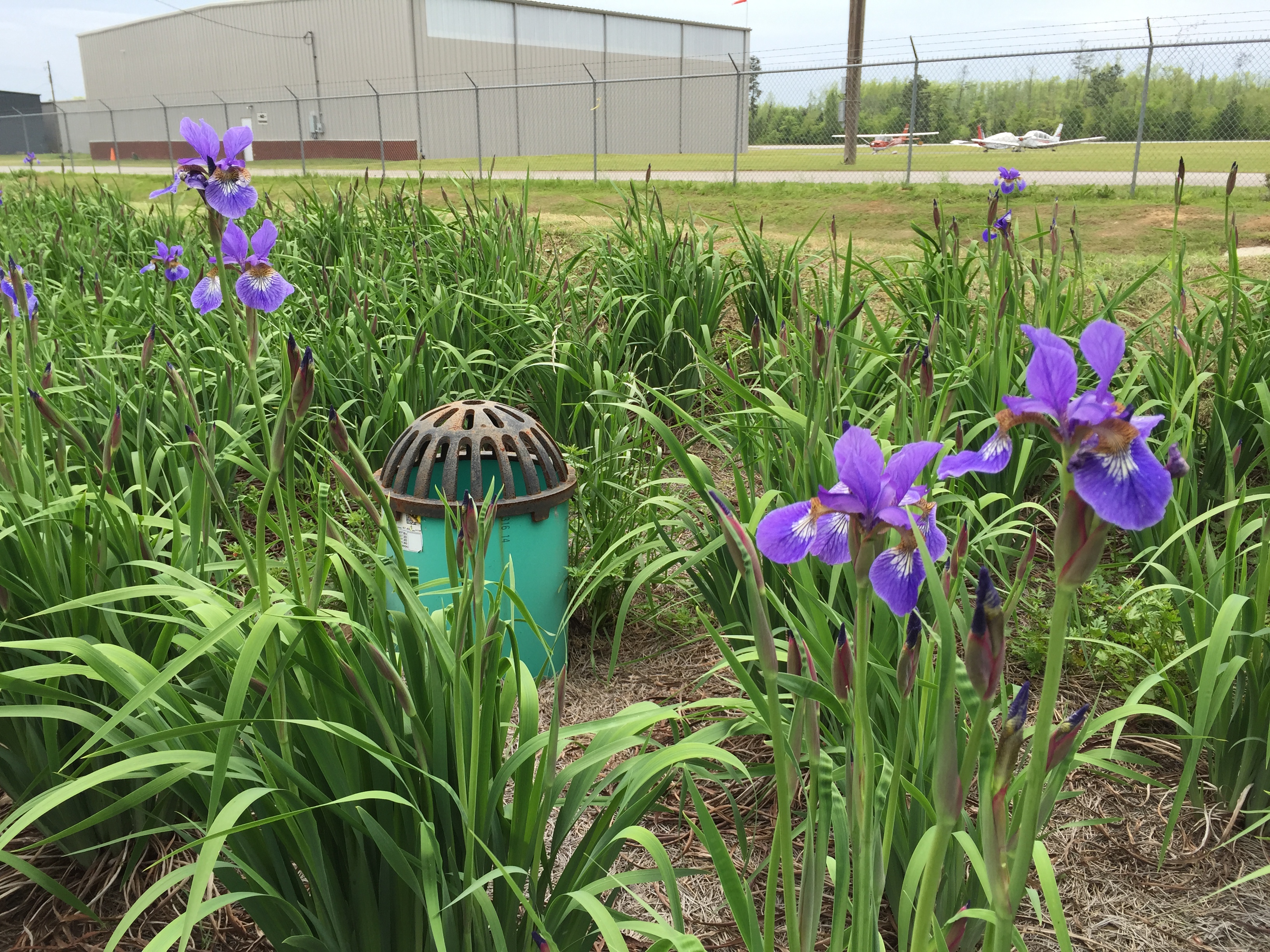 bioretention riser